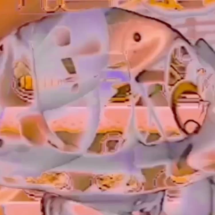 I don't want to be real